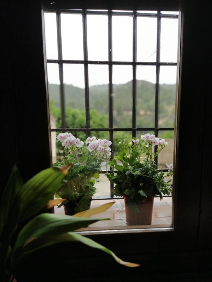Holiday home Ladron De Semillas *